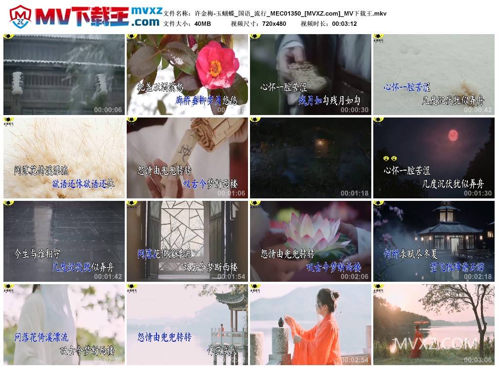 许金梅-玉蝴蝶_国语_流行_MEC01350